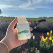 ヒメ日記 2025/07/18 15:12 投稿 夢 出会い系人妻ネットワーク 上野〜大塚編