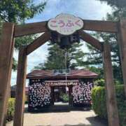 ヒメ日記 2025/07/20 00:20 投稿 夢 出会い系人妻ネットワーク 上野〜大塚編