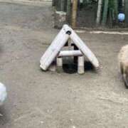 ヒメ日記 2025/07/24 19:15 投稿 夢 出会い系人妻ネットワーク 上野〜大塚編