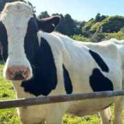 ヒメ日記 2025/07/26 17:01 投稿 夢 出会い系人妻ネットワーク 上野〜大塚編