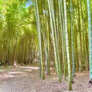 ヒメ日記 2025/07/30 10:21 投稿 夢 出会い系人妻ネットワーク 上野〜大塚編