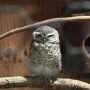 ヒメ日記 2025/07/31 11:54 投稿 夢 出会い系人妻ネットワーク 上野〜大塚編