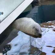 ヒメ日記 2025/08/08 09:45 投稿 夢 出会い系人妻ネットワーク 上野〜大塚編