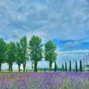 ヒメ日記 2025/08/10 08:30 投稿 夢 出会い系人妻ネットワーク 上野〜大塚編