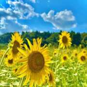 ヒメ日記 2025/08/13 17:01 投稿 夢 出会い系人妻ネットワーク 上野〜大塚編