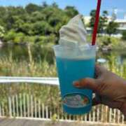 ヒメ日記 2025/08/16 09:45 投稿 夢 出会い系人妻ネットワーク 上野〜大塚編