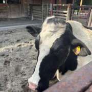 ヒメ日記 2025/08/23 10:30 投稿 夢 出会い系人妻ネットワーク 上野〜大塚編