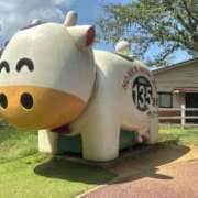 ヒメ日記 2025/08/31 09:15 投稿 夢 出会い系人妻ネットワーク 上野〜大塚編