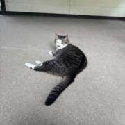 ヒメ日記 2025/09/04 19:45 投稿 夢 出会い系人妻ネットワーク 上野〜大塚編