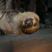 夢 見てきた...♡ 出会い系人妻ネットワーク 上野〜大塚編