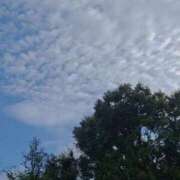 くおん 出勤してます🐰紅葉🍁 鶯谷デリヘル倶楽部