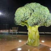 ヒメ日記 2025/10/19 13:06 投稿 堂本ひかる 五十路マダム姫路店