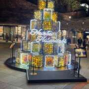 ヒメ日記 2025/11/15 14:24 投稿 堂本ひかる 五十路マダム姫路店