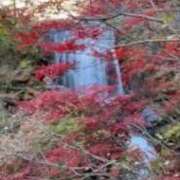 ヒメ日記 2025/11/17 14:06 投稿 堂本ひかる 五十路マダム姫路店