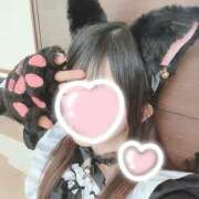 あまねこ ありがと‪🫶 上野ハンドメイド