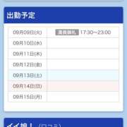 あまねこ ありがとー🐰⸝꙳ 上野ハンドメイド