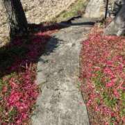 ヒメ日記 2026/03/05 11:28 投稿 あいな Ange Spa(アンジュスパ)