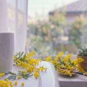 ヒメ日記 2026/03/07 17:35 投稿 あいな Ange Spa(アンジュスパ)