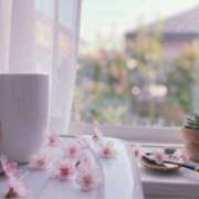 ヒメ日記 2026/03/10 07:30 投稿 あいな Ange Spa(アンジュスパ)