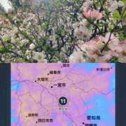 ヒメ日記 2026/03/18 19:18 投稿 あいな Ange Spa(アンジュスパ)