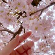 ヒメ日記 2026/03/28 14:52 投稿 あいな Ange Spa(アンジュスパ)