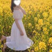 ヒメ日記 2026/03/29 14:30 投稿 あいな Ange Spa(アンジュスパ)