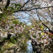 ヒメ日記 2026/04/10 00:26 投稿 あいな Ange Spa(アンジュスパ)
