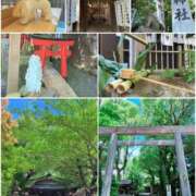 ヒメ日記 2026/06/15 18:37 投稿 あいな Ange Spa(アンジュスパ)