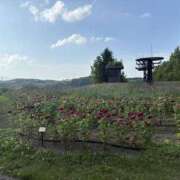 ヒメ日記 2025/07/15 05:36 投稿 りこ 女の子がセルフで撮影する店！！成田デリヘル『生パネル』伝説