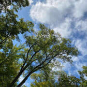 ヒメ日記 2025/07/20 17:33 投稿 りこ 女の子がセルフで撮影する店！！成田デリヘル『生パネル』伝説