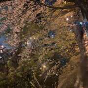 ヒメ日記 2025/12/17 04:42 投稿 りこ 女の子がセルフで撮影する店！！成田デリヘル『生パネル』伝説