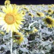 ヒメ日記 2025/08/02 15:55 投稿 めぐ スパーク梅田店