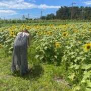 ヒメ日記 2025/08/14 14:45 投稿 めぐ スパーク梅田店