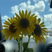 ヒメ日記 2025/08/23 06:37 投稿 めぐ スパーク梅田店