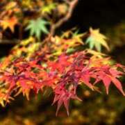 ヒメ日記 2025/08/24 08:53 投稿 めぐ スパーク梅田店