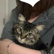 ヒメ日記 2025/08/25 06:57 投稿 めぐ スパーク梅田店