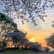 ヒメ日記 2025/08/28 19:15 投稿 めぐ スパーク梅田店