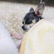 ヒメ日記 2025/08/30 08:39 投稿 めぐ スパーク梅田店