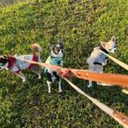 ヒメ日記 2025/09/09 08:57 投稿 めぐ スパーク梅田店