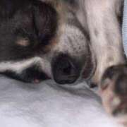 ヒメ日記 2025/09/10 19:49 投稿 めぐ スパーク梅田店