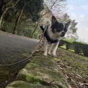 ヒメ日記 2025/10/11 15:25 投稿 めぐ スパーク梅田店