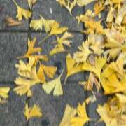 ヒメ日記 2025/10/13 18:56 投稿 めぐ スパーク梅田店