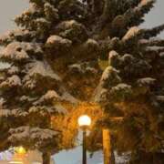 ヒメ日記 2025/12/17 10:03 投稿 めぐ スパーク梅田店