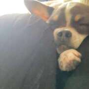 ヒメ日記 2025/12/21 00:19 投稿 めぐ スパーク梅田店