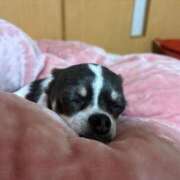 ヒメ日記 2025/12/21 08:04 投稿 めぐ スパーク梅田店