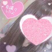 ヒメ日記 2025/07/24 05:41 投稿 ゆめか 奥様なでしこ