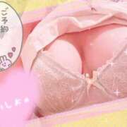 ヒメ日記 2025/10/12 12:16 投稿 ゆめか 奥様なでしこ