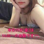 ヒメ日記 2025/07/25 01:02 投稿 川上ゆうひ しこたま奥様 横浜店