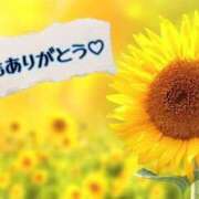 ヒメ日記 2025/08/03 08:52 投稿 川上ゆうひ しこたま奥様 横浜店