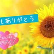 ヒメ日記 2025/08/30 12:42 投稿 川上ゆうひ しこたま奥様 横浜店